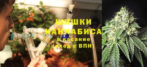 PSILOCYBIN Абдулино