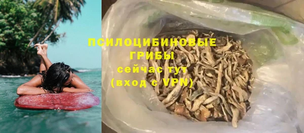 PSILOCYBIN Абдулино
