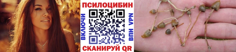 как найти наркотики  Лакинск  Псилоцибиновые грибы мицелий 